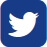 DevSols Twitter